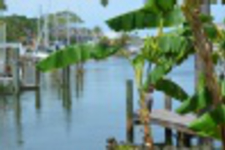 Hotel Exterior 16 of 576