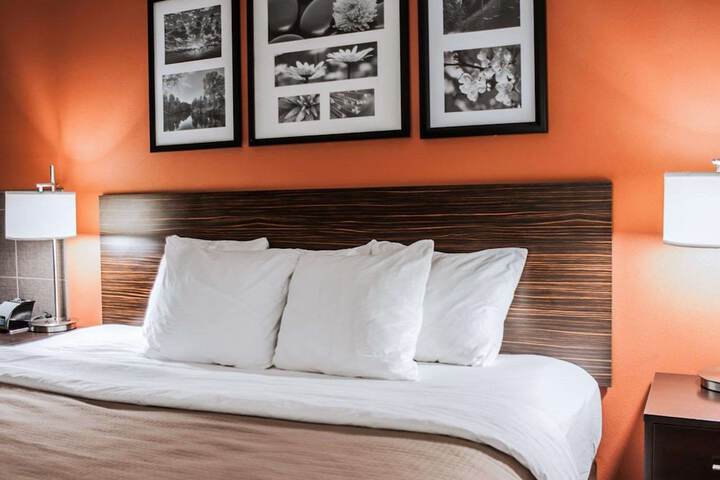 1 King Bed (1 of 11)