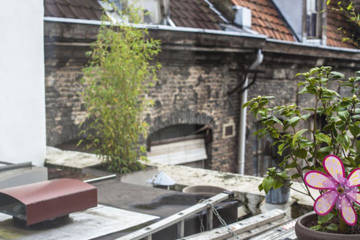 Terrace/Patio 46 of 47