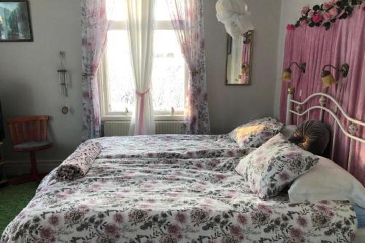 One Bedroom Studio