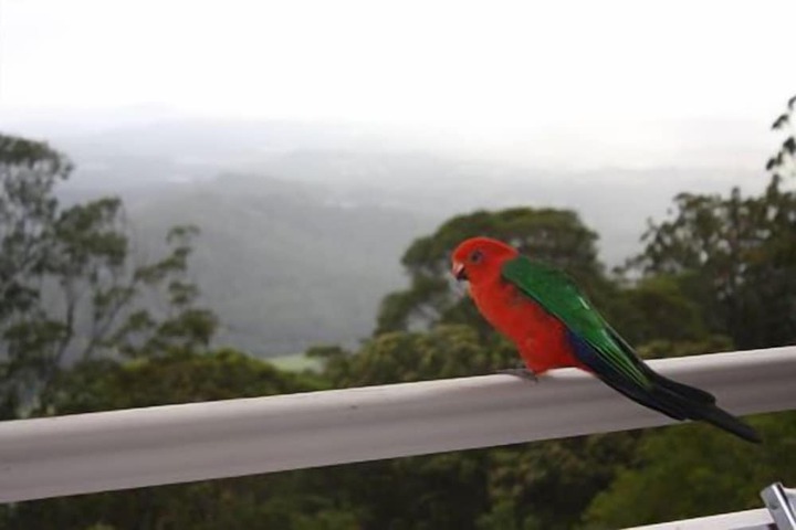 Terrace/Patio 16 of 22