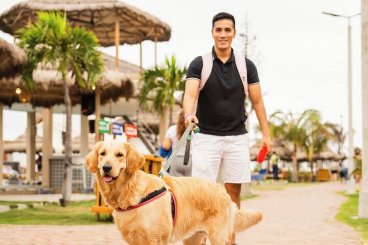 Pet Friendly 55 of 100
