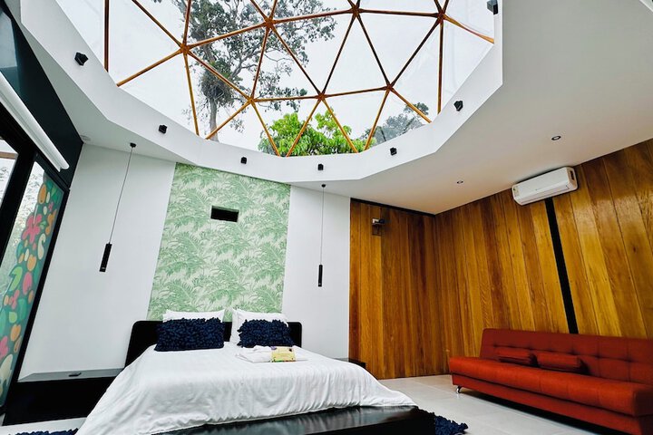 Room 6 of 50
