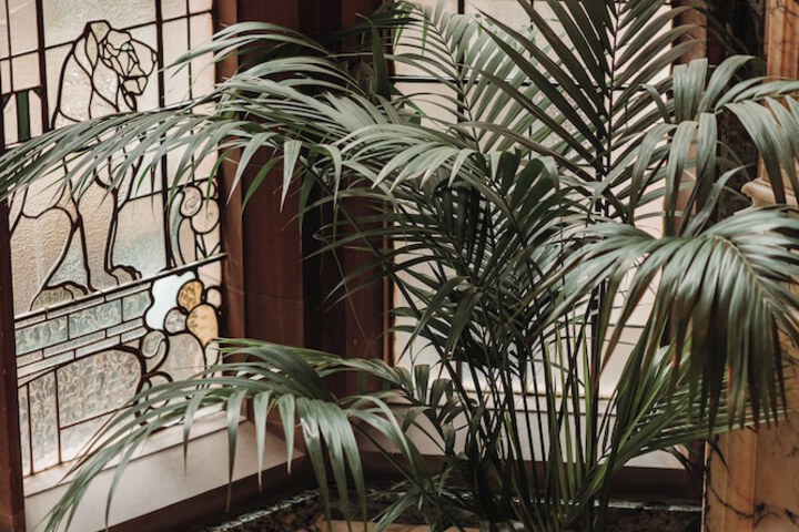 Hotel Interior 214 of 242