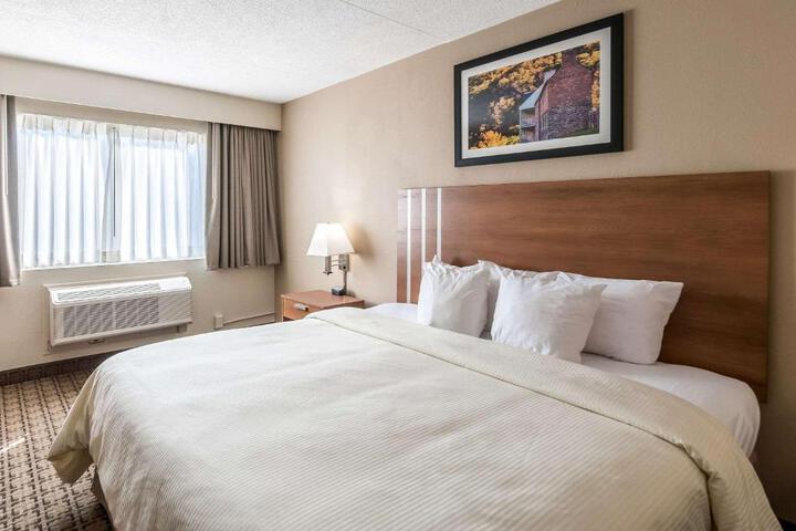 1 King Bed (2 of 10)