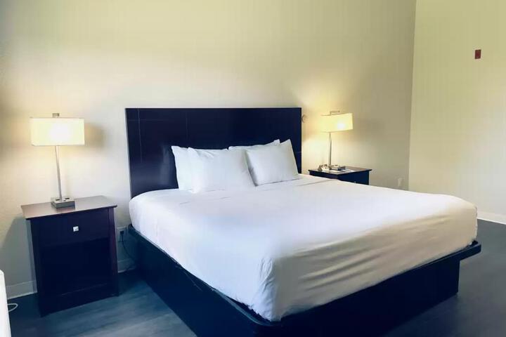 1 King Bed (4 of 8)