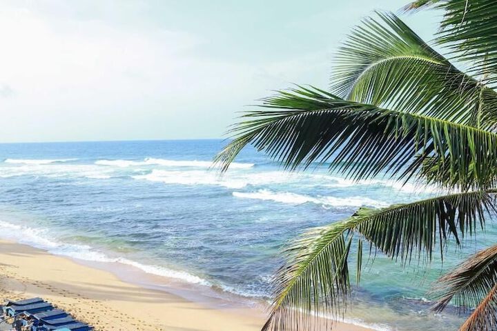 Beach 41 of 54