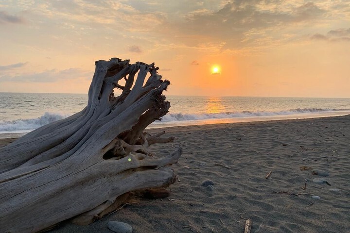 Beach 45 of 56