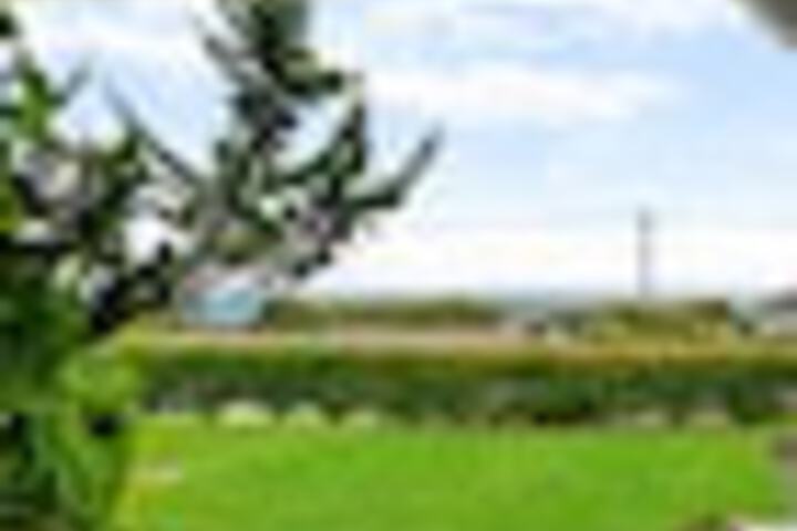 Terrace/Patio 503 of 663