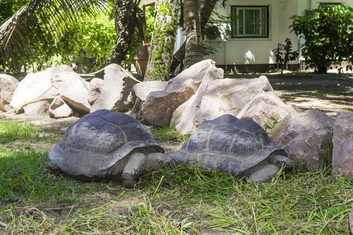 Image of Hotel Cote dOr Lodge