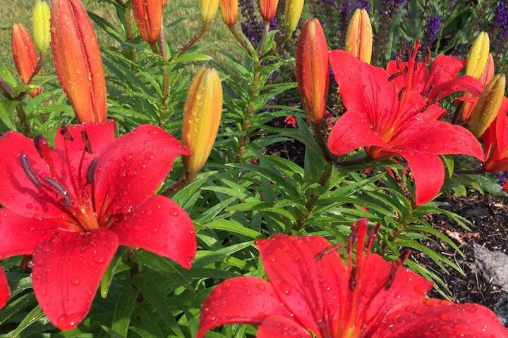 Property Grounds 44 of 63