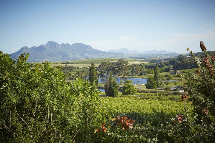 Terrace/Patio 41 of 86