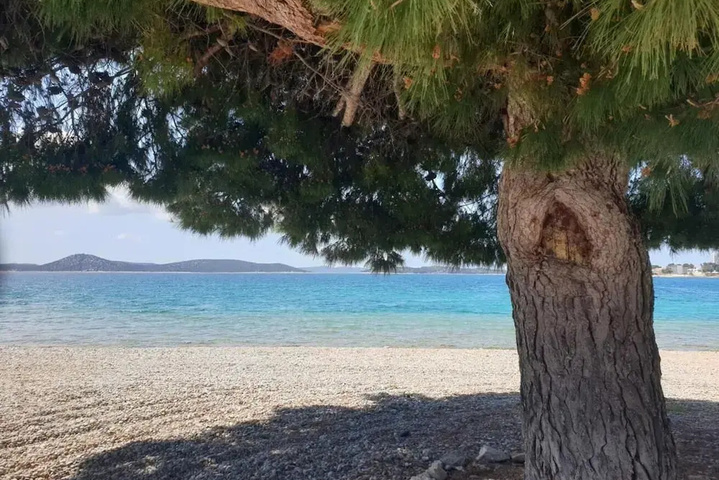 Beach 14 of 19