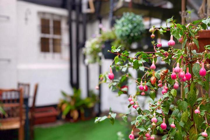 General 13 of 46
