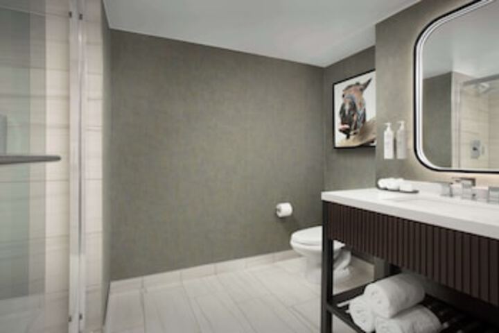 Bathroom shower
