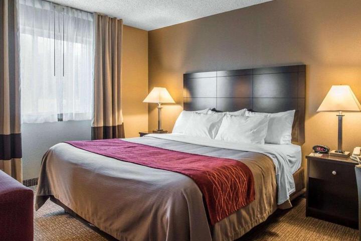1 King Bed (11 of 20)