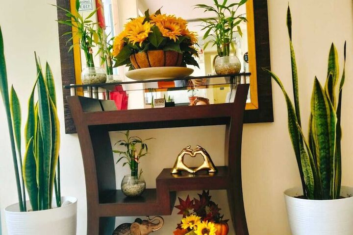 Spa and Wellness Pictures