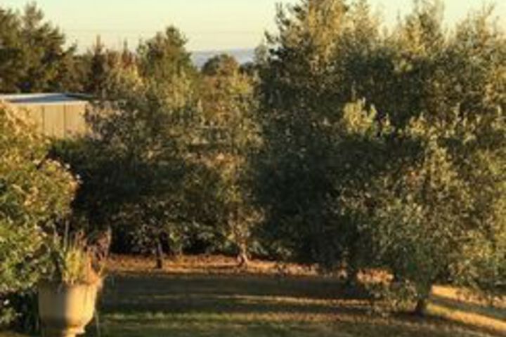 Property Grounds 15 of 20