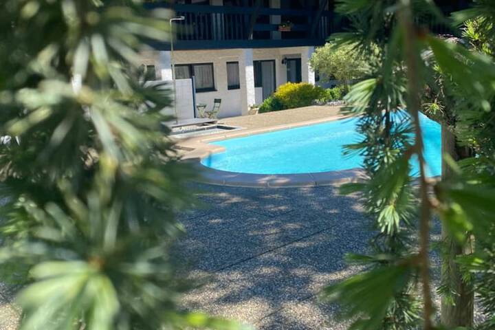 Hotel Pool