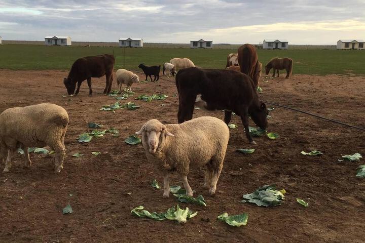 Property Grounds 16 of 21