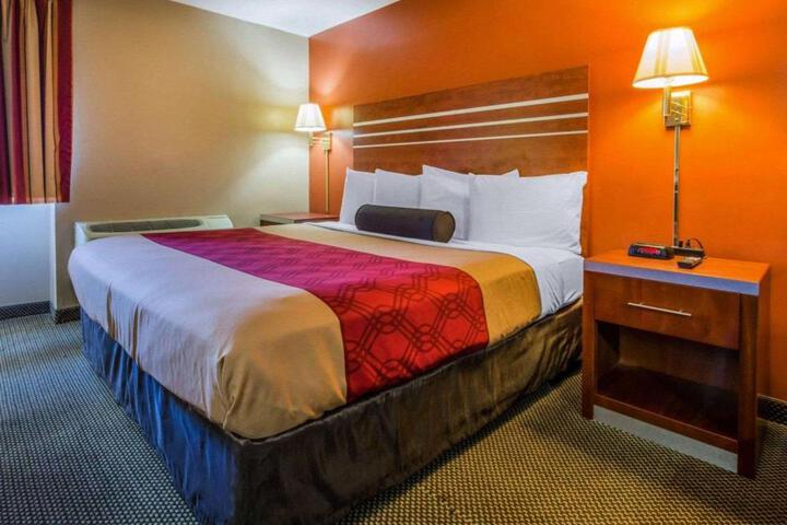 1 King Bed (4 of 8)