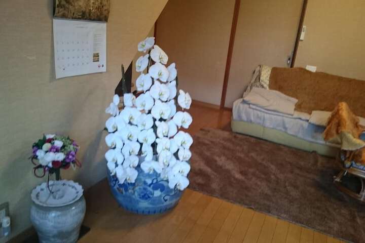 Room 4 of 50