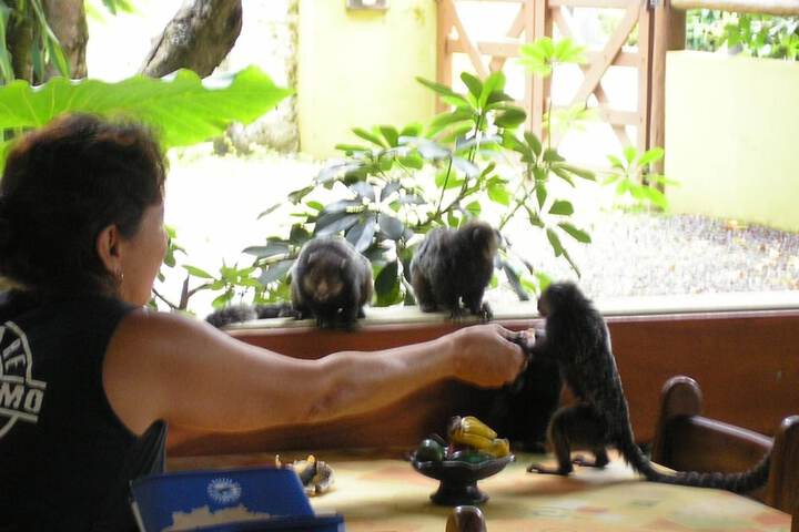 Spa and Wellness