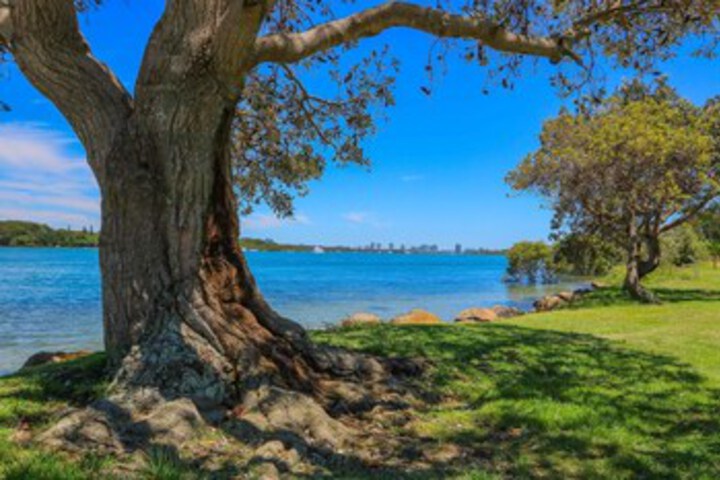 Property Grounds 8 of 21