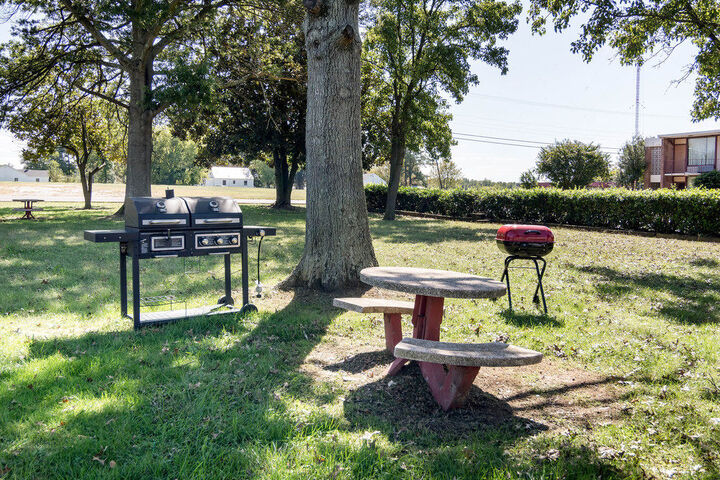 Property Grounds 13 of 25