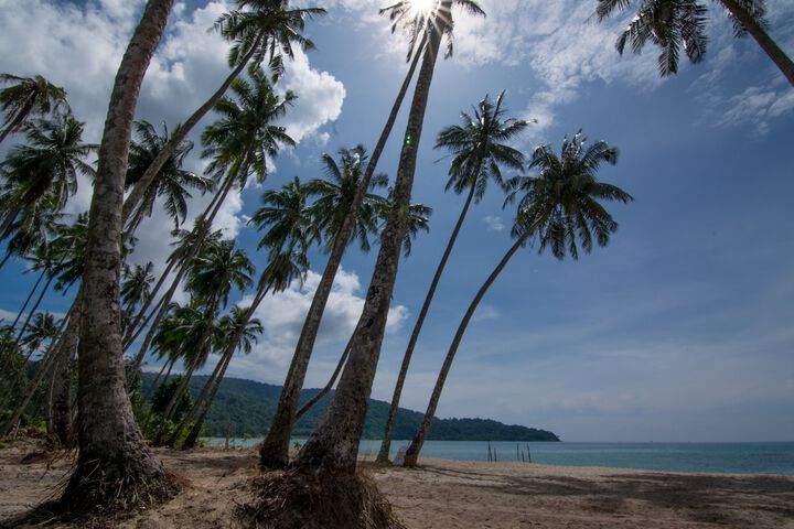 Beach 73 of 88
