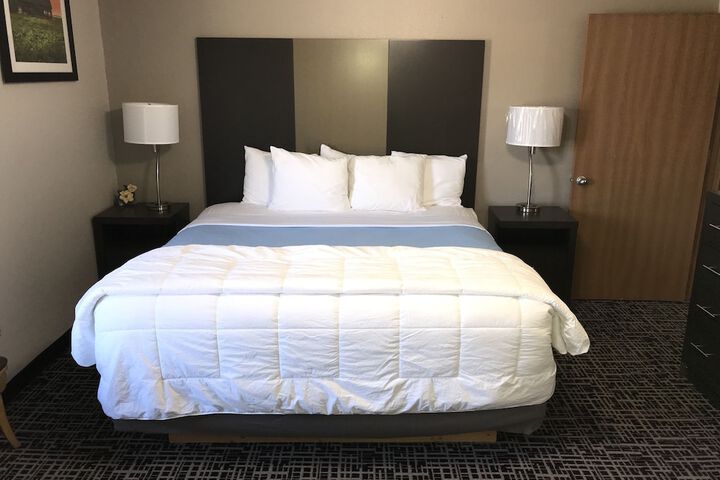 1 King Bed Suite (4 of 7)