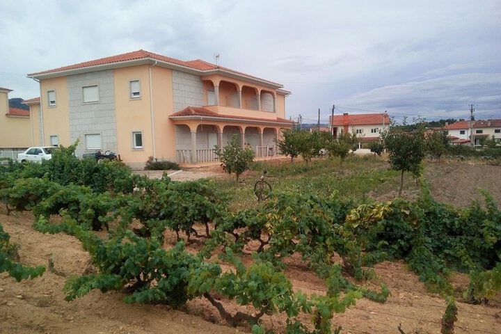 Photo 29