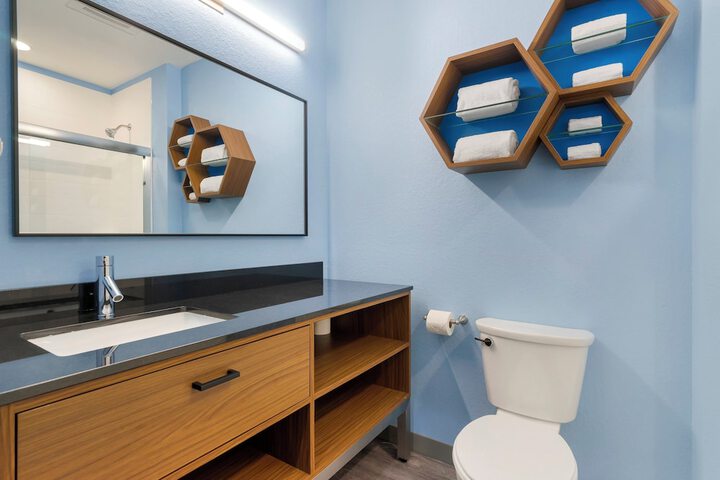 ADA Accessible Studio 1 Queen Bed with Roll in Shower (19 of 20)