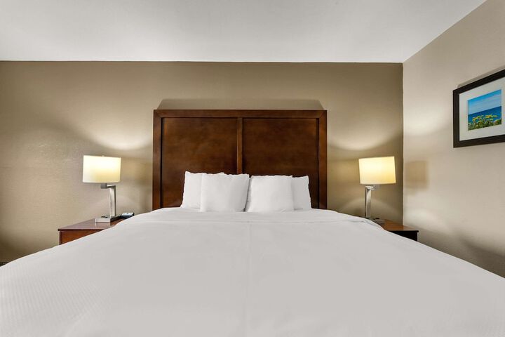 1 King Bed (4 of 7)
