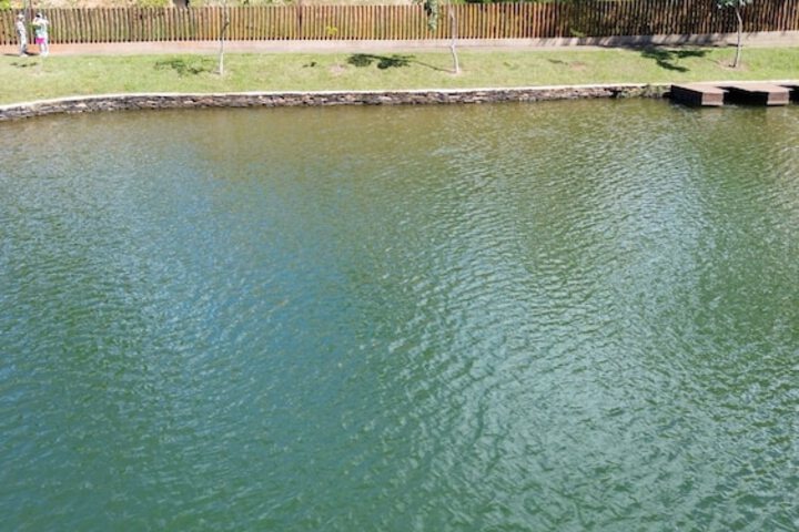 Property Grounds 180 of 228