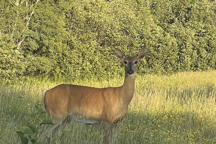 Hotel View 107 of 111