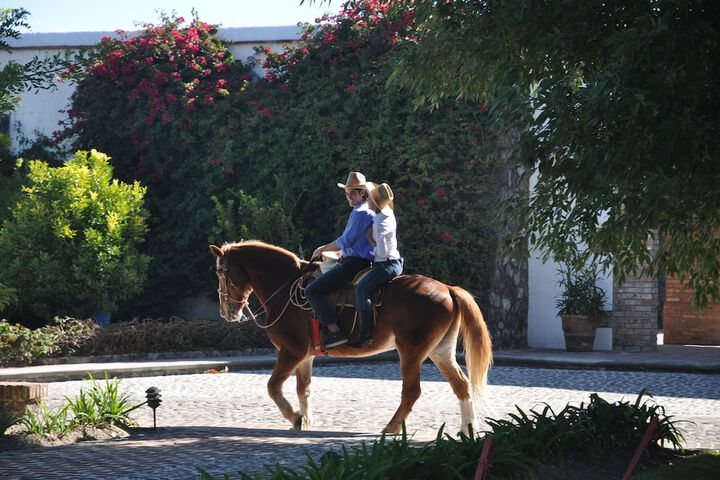 Horseback riding