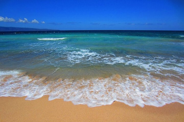 Photo 4