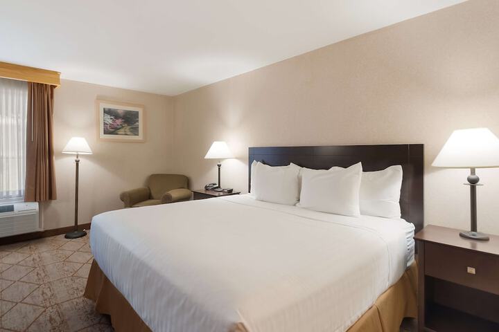 1 King Bed High Speed Internet Accessible Jacuzzi Microwave and Refrigerator Continenta (7 of 20)