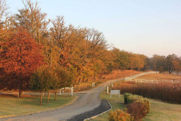 Property Grounds 35 of 49