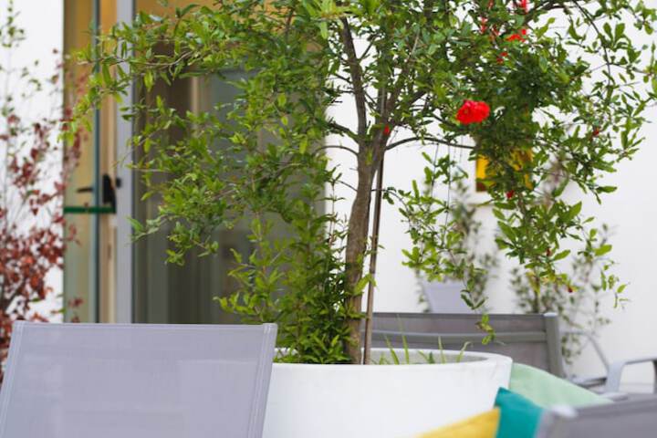 Terrace/Patio 89 of 93