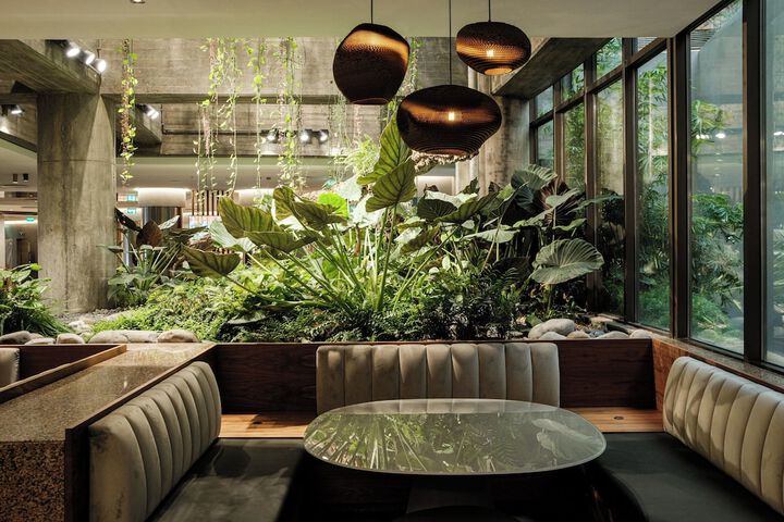 Lounge 75 of 142