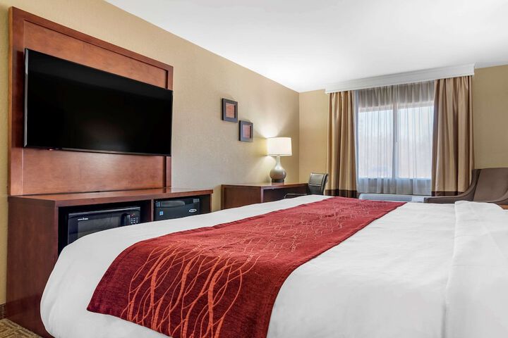 1 King Bed Accessible (1 of 11)