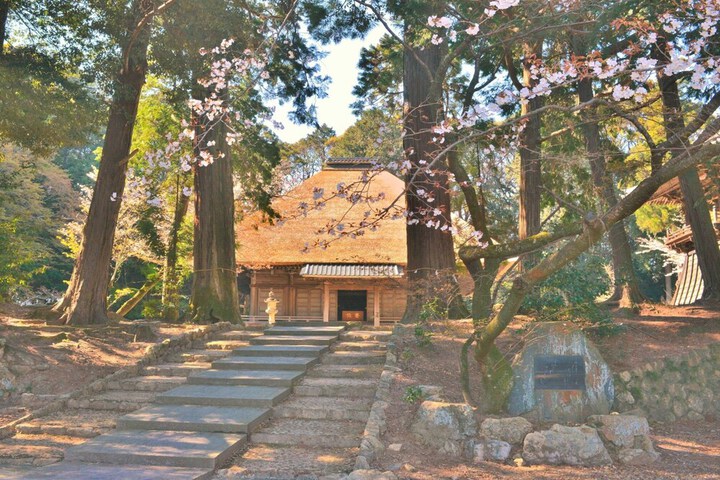 Photo 22