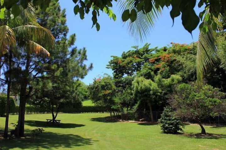 Property Grounds 30 of 37