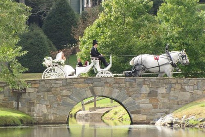Outdoor wedding area