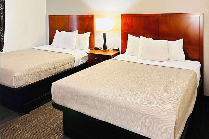 2 Double Beds Accessible (5 of 14)