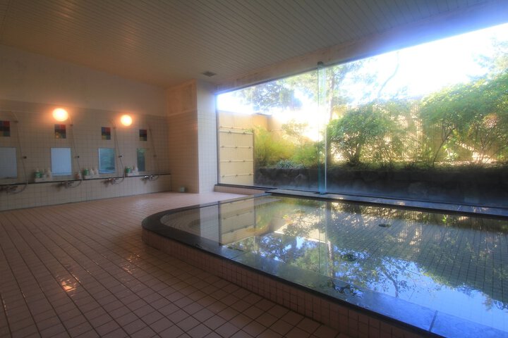 Wellness Treatments