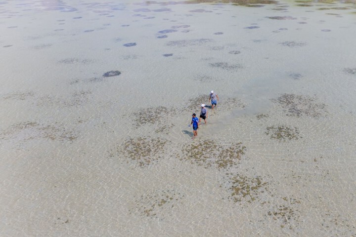 Beach 121 of 155