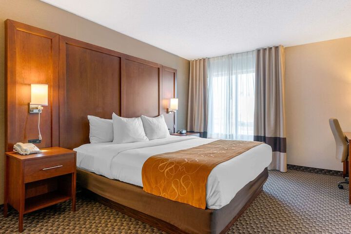 1 King Bed Suite (2 of 10)
